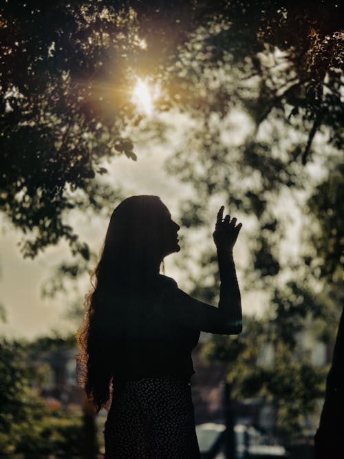 free-photo-of-silhouette-di-donna-in-una-foresta-illuminata-dal-sole free-photo-of-silhouette-di-donna-in-una-foresta-illuminata-dal-sole